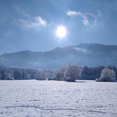 Appartamento Werkhof Bistrica Esterno foto