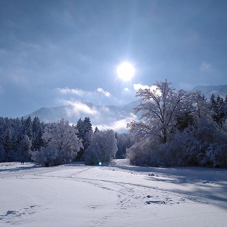 Appartamento Werkhof Bistrica Esterno foto
