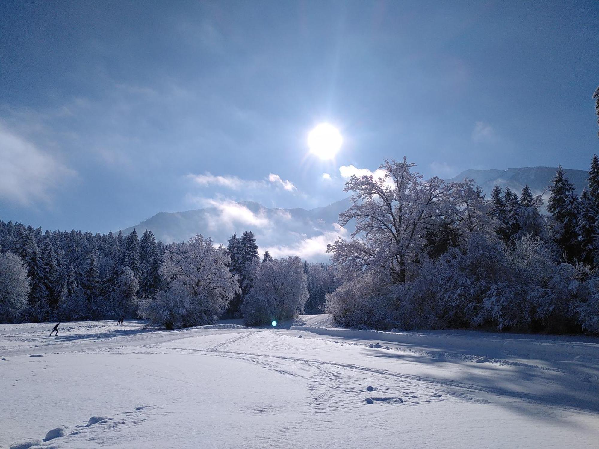 Appartamento Werkhof Bistrica Esterno foto